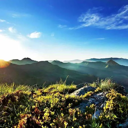 Le Charmeur * * * Aurillac