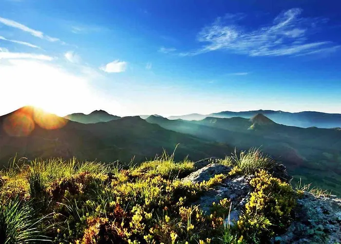 Le Charmeur * * * Aurillac